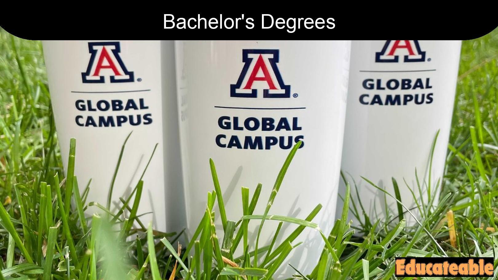 Exploring Bachelor's Degrees at the University of Arizona Global Campus